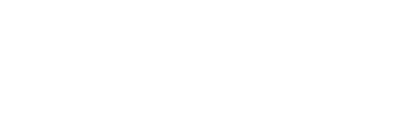 Logo_GeoVertex-biale2